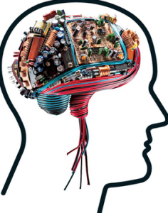 screen shot electrochemical brain