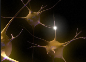 screen shot neurons connecting - learning