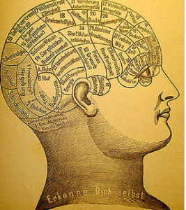 screen shot phrenology