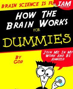 Screen Shot Brain for Dummies